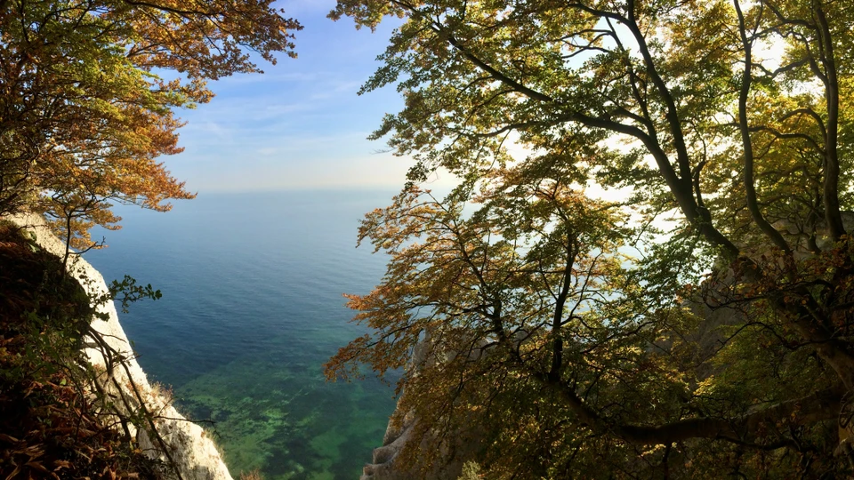 Efterår ved Møns Klint
