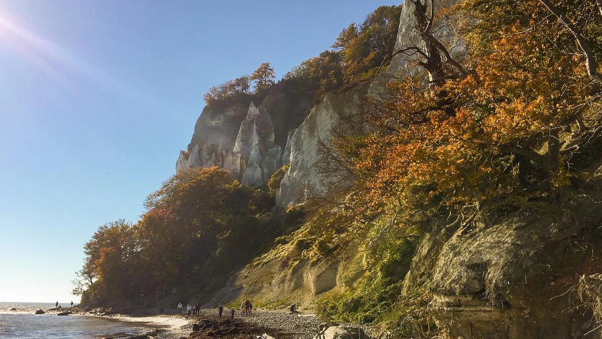 Møns Klint med efterårsfarver
