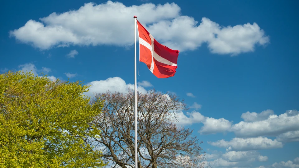 Billede af dannebrogsflag i flagstand på en forårsdag