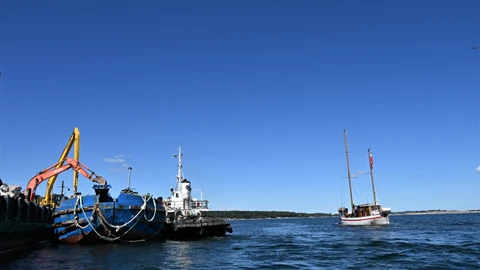 Billede etablering af stenrev