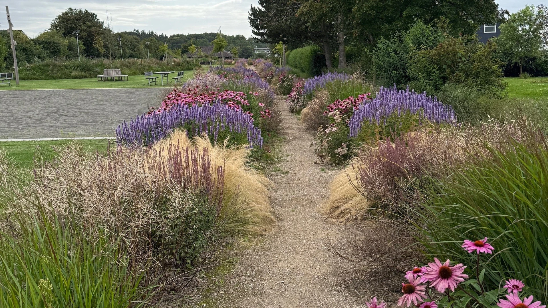BIllede af bede med blomster