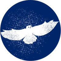 Flydende Ugle Illustration fra Dark Sky Møn og Nyord