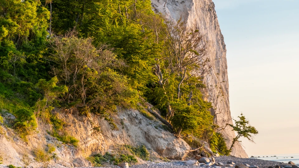Billede af Møns Klint - foto Egon Gade