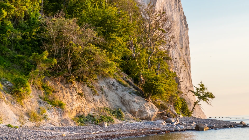 Møns Klint