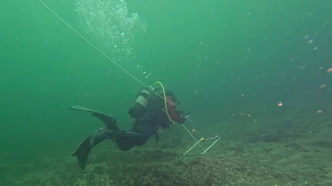 Dykker filmer ved Mads Rev