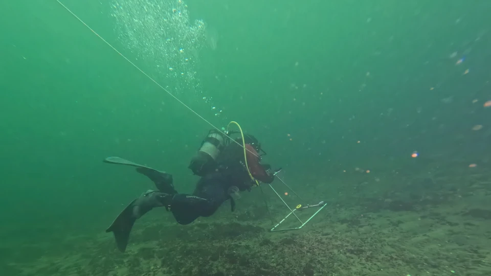 Dykker filmer ved Mads Rev