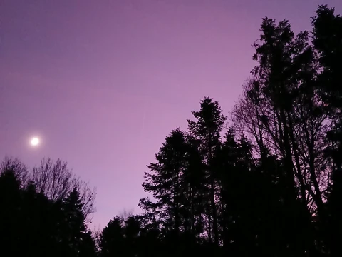 Lilla himmel over Dark Sky Møn og Nyord - foto af Susanne Rosenild