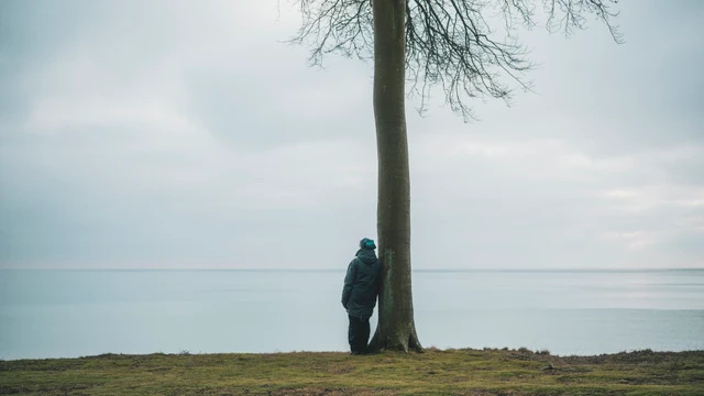 Billede af et menneske, der læner sig op ad et træ tæt på vandet