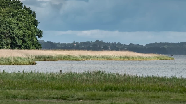 Præstø fjord