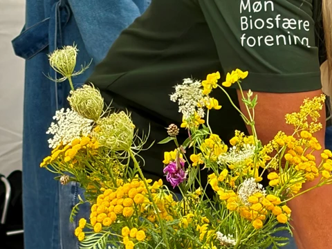 Møn Biosfæreforening og vilde blomster i buket