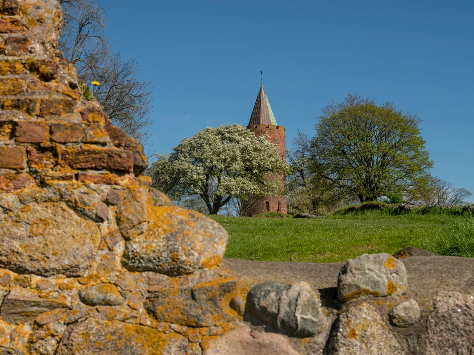Goosetower Vordingborg City